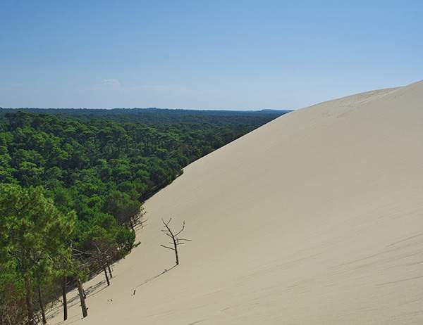 vtc bordeaux voiture chauffeur edcar tour dune du pyla pilat visite
